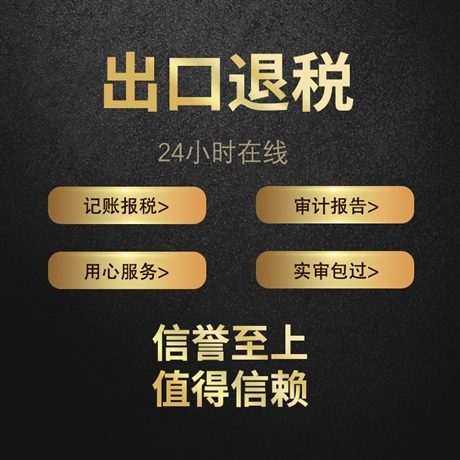 企業(yè)財務(wù)咨詢與代理代辦服務(wù) 您的專業(yè)財務(wù)管家