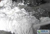 動物型、復合型與超級水泥發(fā)泡劑 技術轉讓與市場應用前景分析